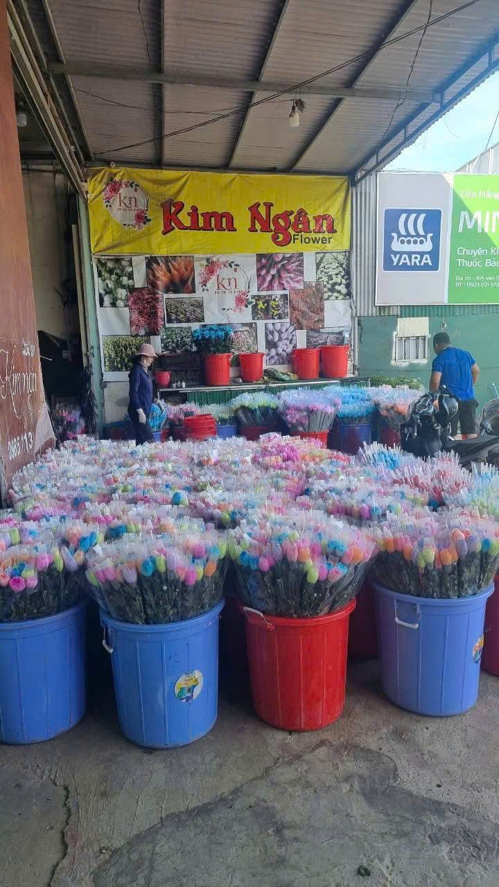 Vựa hoa sỉ Kim Ngân tại Đà Lạt